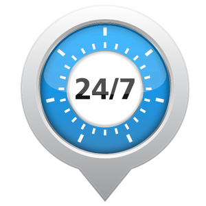Speed Icon